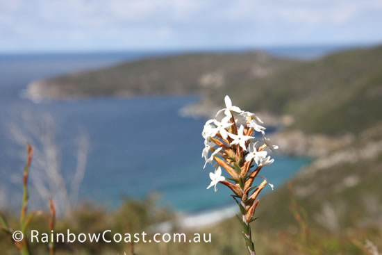 West Cape Howe National Park